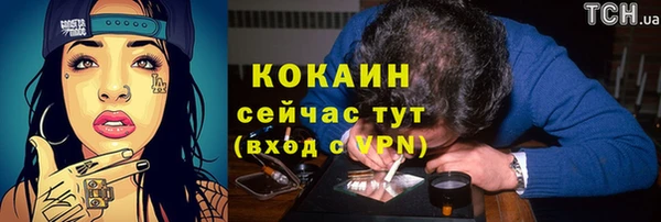 мдпв Бронницы