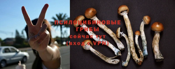 дживик Володарск
