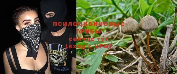 шишки Волосово