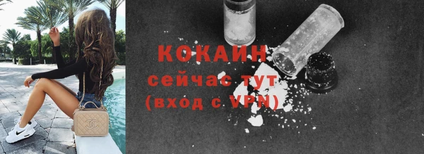 мдпв Бронницы