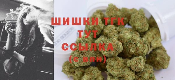 дживик Володарск
