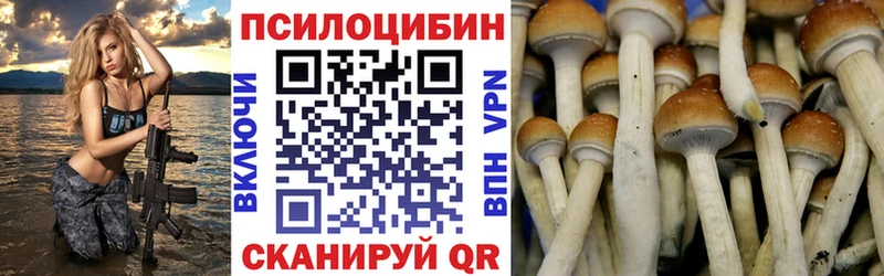 Галлюциногенные грибы Cubensis Бугуруслан